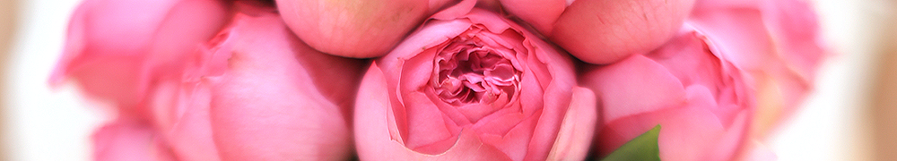 ֡