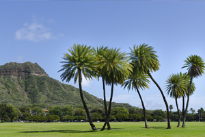 Kapiolani Park