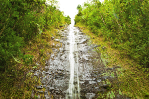 Manoa Falls