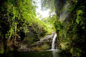 マウナウィリの滝