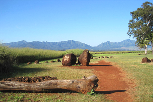 Kukaniloko Birthstones˥Сȡʥ