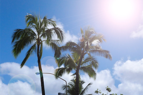 ハワイ滞在での日焼け対策とケア