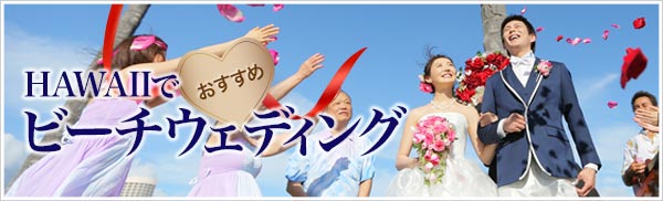  ϥ磻ǥӡǥ!!