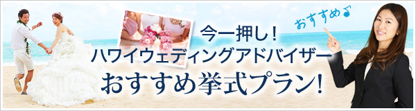 첡ϥ磻ǥ󥰥ɥХ󼰥ץ