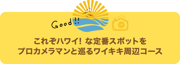 줾ϥ磻֥ݥåȤץޥ磻ե