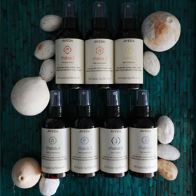 AVEDA(アヴェダ)について イメージ